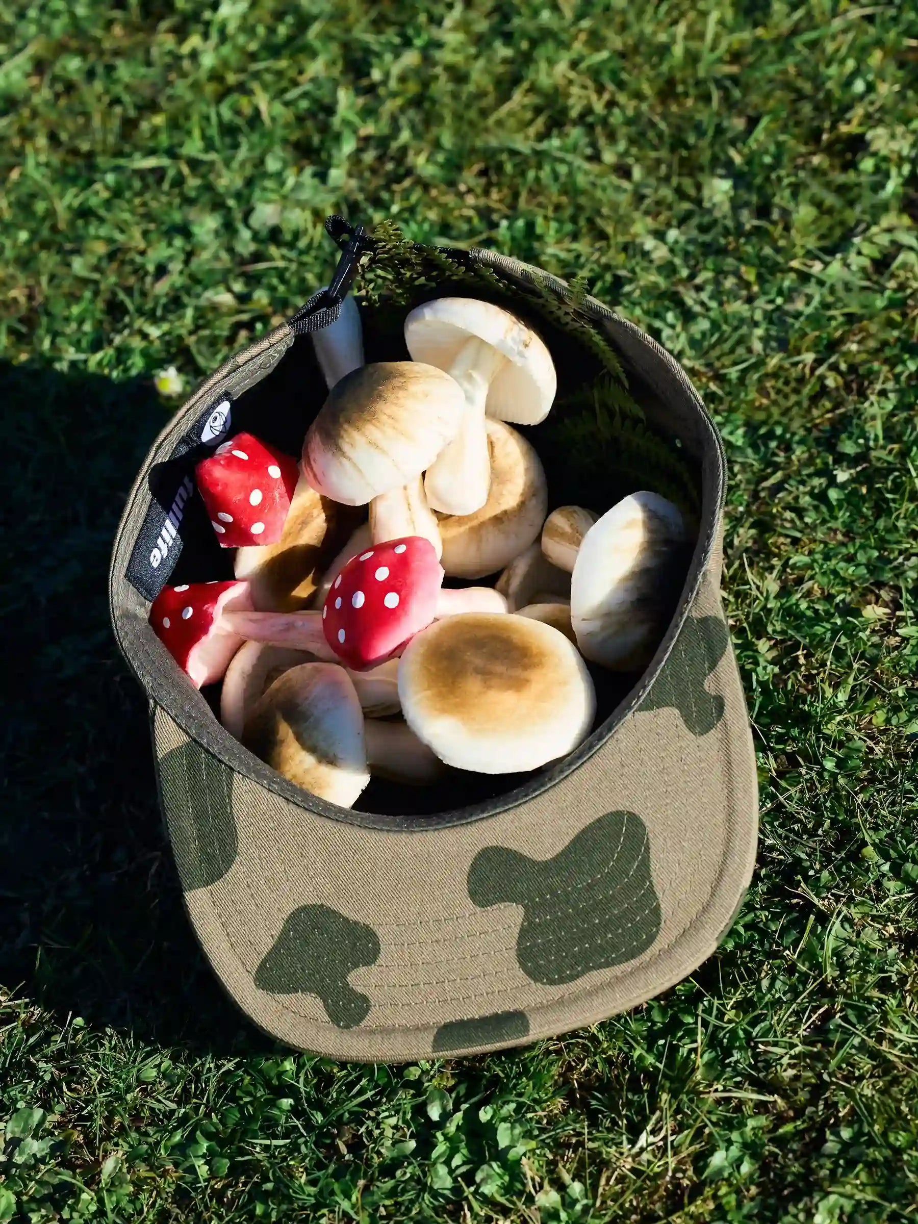 League of Legends Bandle Scout cappellino Teemo
