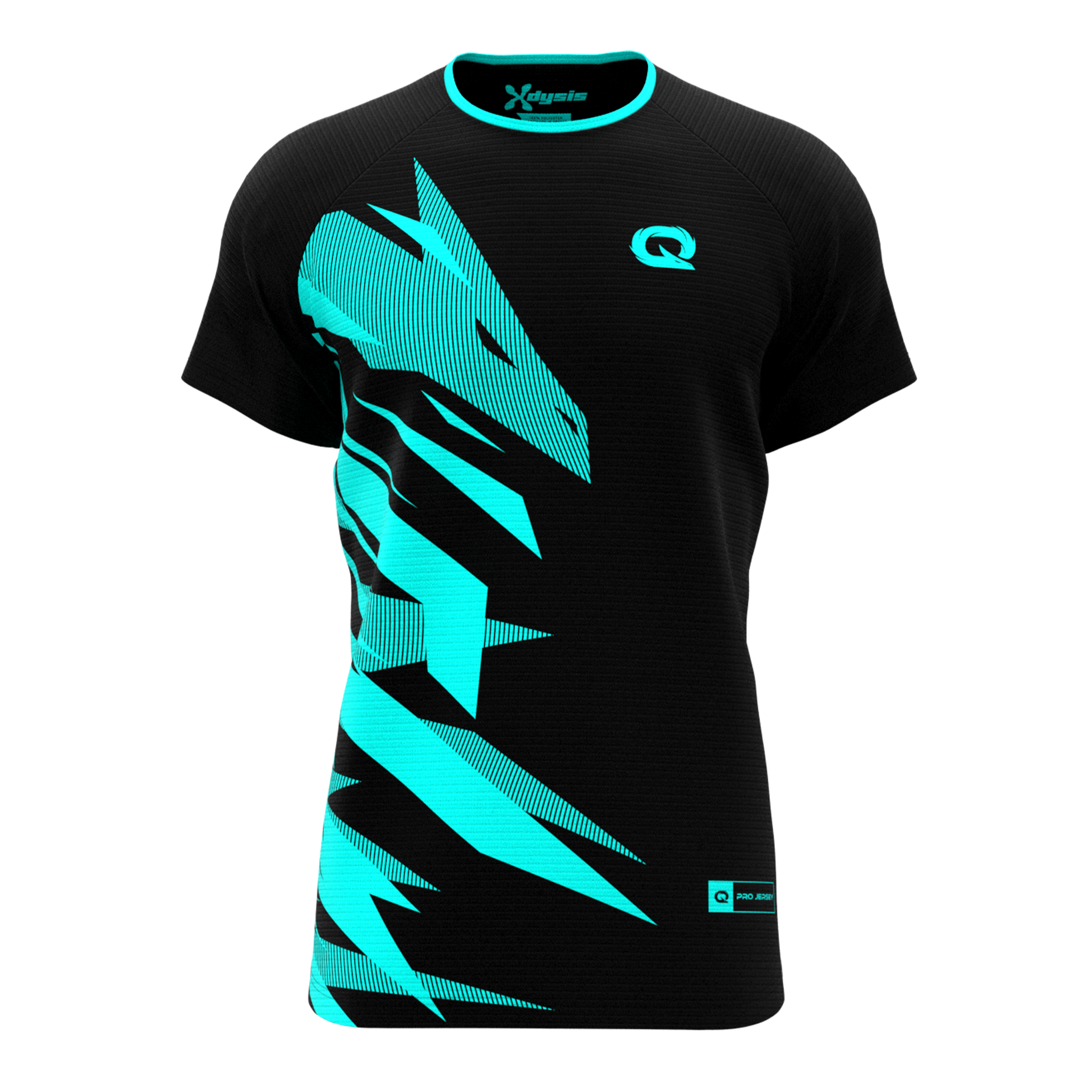 Qlash Official 2023 jersey esports ufficiale