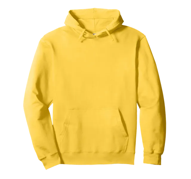 Paradox Victoria 3 logo black felpa cappuccio nera